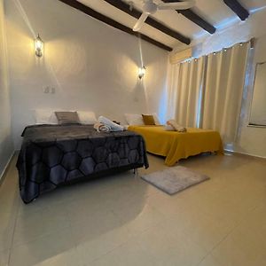 Casa Blue 